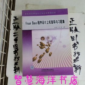 普通高等学校计算机教育规划教材——VisualBasic程序设计上机指导与习题集