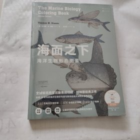 海面之下：海洋生物形态图鉴（一本可以涂色的海洋科普书）