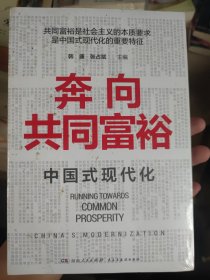 奔向共同富裕（读懂共同富裕，看清未来中国！深入浅出，雅俗共赏，两大TOP级智库联袂巨献，通俗理论重磅大作！）