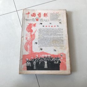 中国剪报 2001年1-12（合订本全）