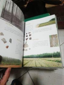 曲阜古迹通览