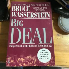 Big Deal：Mergers and Acquisitions in the Digital Age