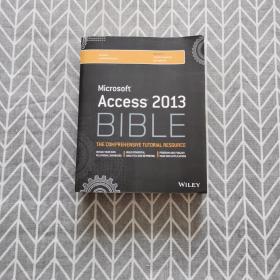 Access 2013 Bible Access 2013圣经