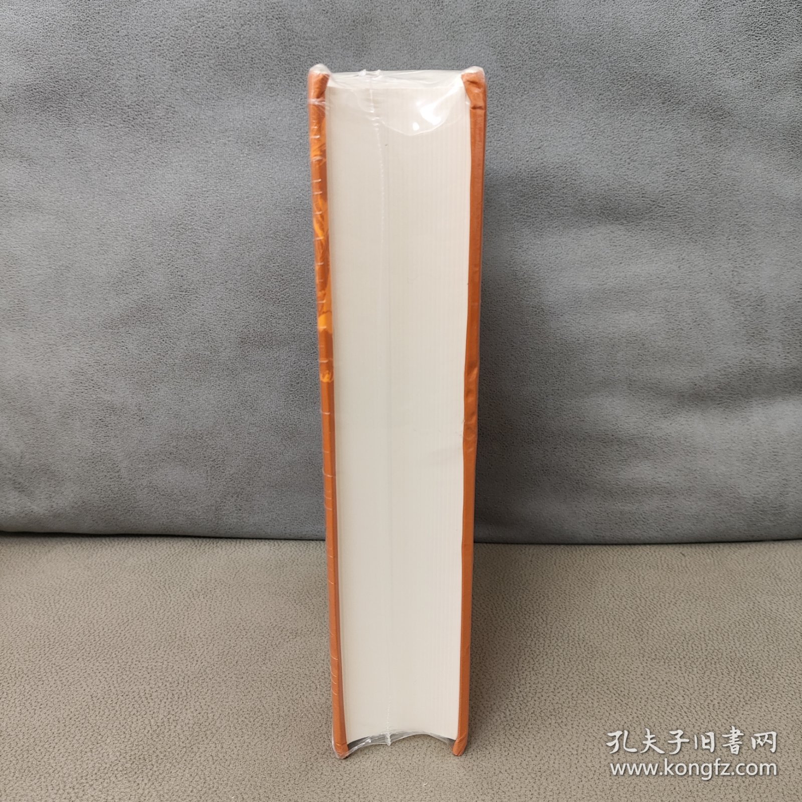 内北国而外中国：蒙元史研究 精装