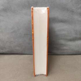 内北国而外中国：蒙元史研究 精装