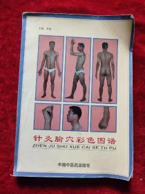 针灸瑜穴彩色图谱（书有轻微开胶，慎拍）