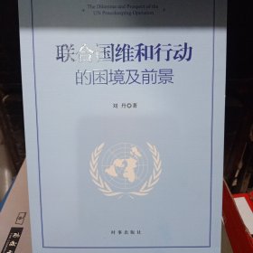 联合国维和行动的困境及前景