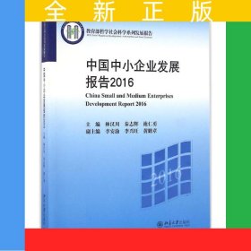 中國中小企業(yè)發(fā)展報告2016