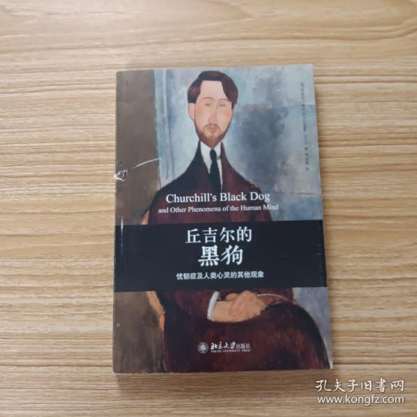 丘吉尔的黑狗：忧郁症及人类心灵的其他现象