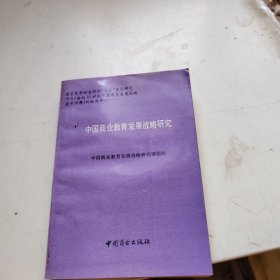 中国商业教育发展战略研究