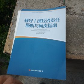 领导干部经济责任履职与问责指南