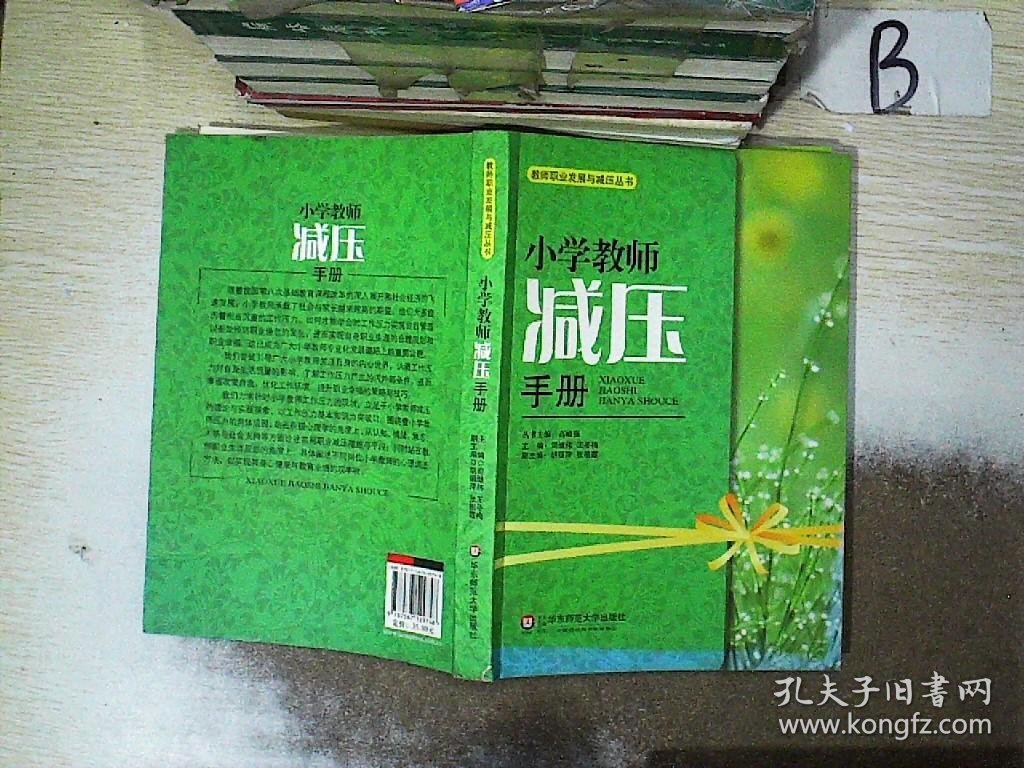 教师职业发展与减压丛书：小学教师减压手册