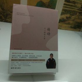 葫动不一样的十年