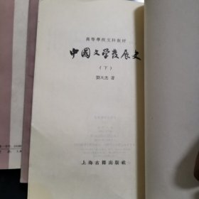 中国文学发展史（上中下）