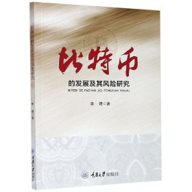 比特币的发展及其风险研究 9787568923460 李靖|责编:李定群 重庆大学