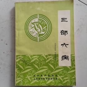 《三部六病》