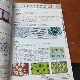 中药饮片传统鉴别图册（常用饮片部分）（全彩图）