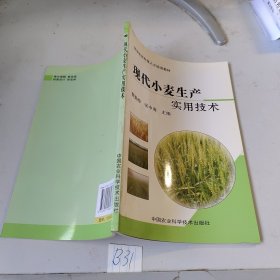 现代小麦生产实用技术