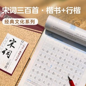 宋词三百首(楷行双体)/经典文化系列字帖 荆霄鹏 9787539465418