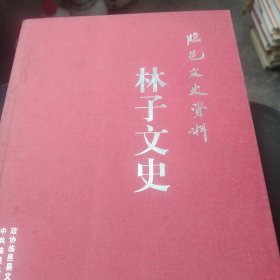 临邑文史资料 林子文史