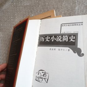 历史小说简史（轻微折痕污渍等随机发货）