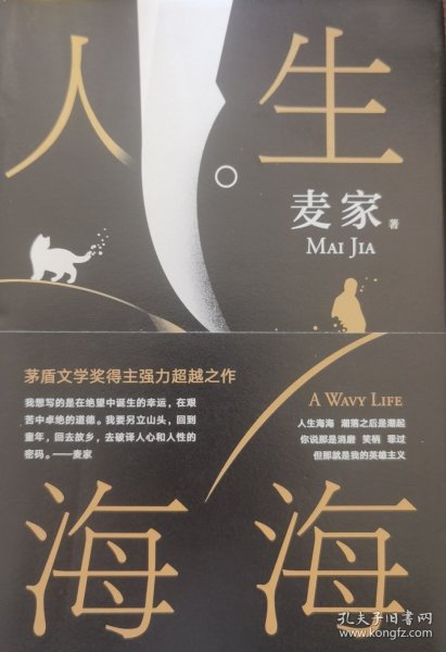 麦家：人生海海（茅盾文学奖得主麦家2019年强力之作）