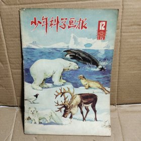 少年科学画报 1979 12