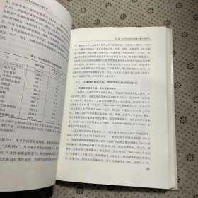 “十四五”时期河北重大战略性问题研究
