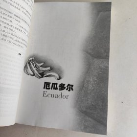 把我的心染棕：潜入美洲