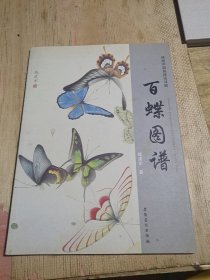 百蝶图谱：传统中国画技法详解