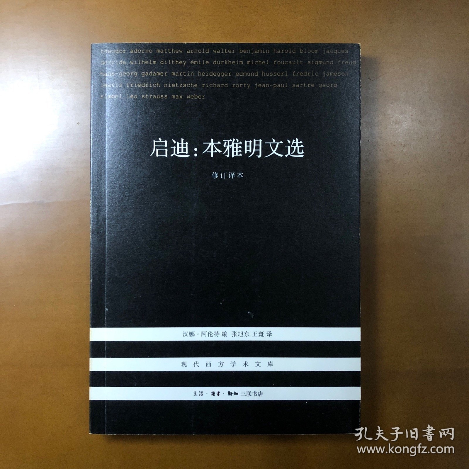 启迪：本雅明文选