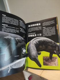 PNSO海洋博物馆鱼龙的秘密