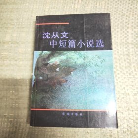 沈从文中短篇小说选