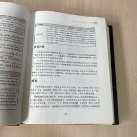 量化投资 策略与技术（精装版） 【内页干净】