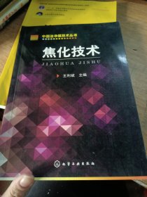 中国洁净煤技术丛书：焦化技术