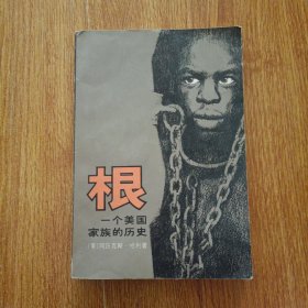 根一个美国家族的历史 上