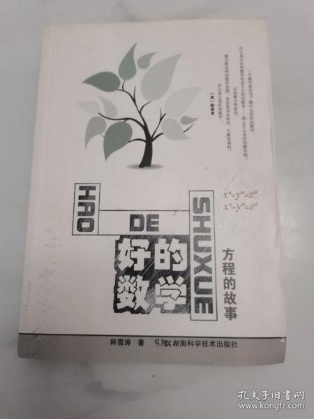 好的数学：方程的故事