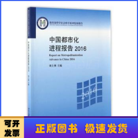 中国都市化进程报告2016