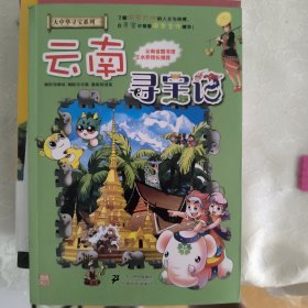 我的第一本大中华寻宝漫画书13：云南寻宝记