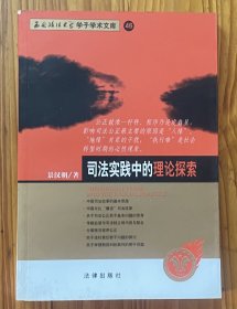 司法实践中的理论探索