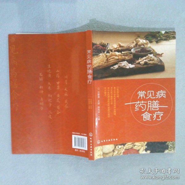 常见病药膳食疗