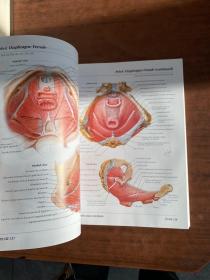 ATLS OF HUMAN ANATOMY