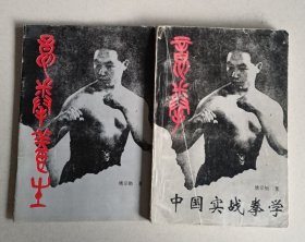 意拳养生 意拳 中国实战拳学 （二册）