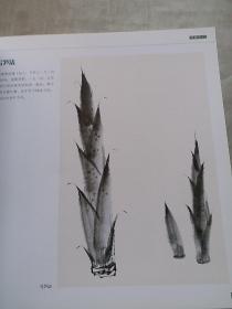 中国画技法丛书：名家画竹