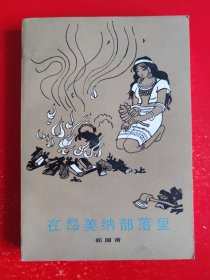 在昂美纳部落里