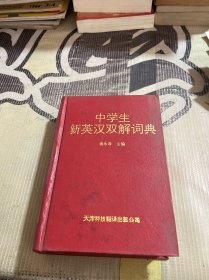 中学生新英汉双解词典