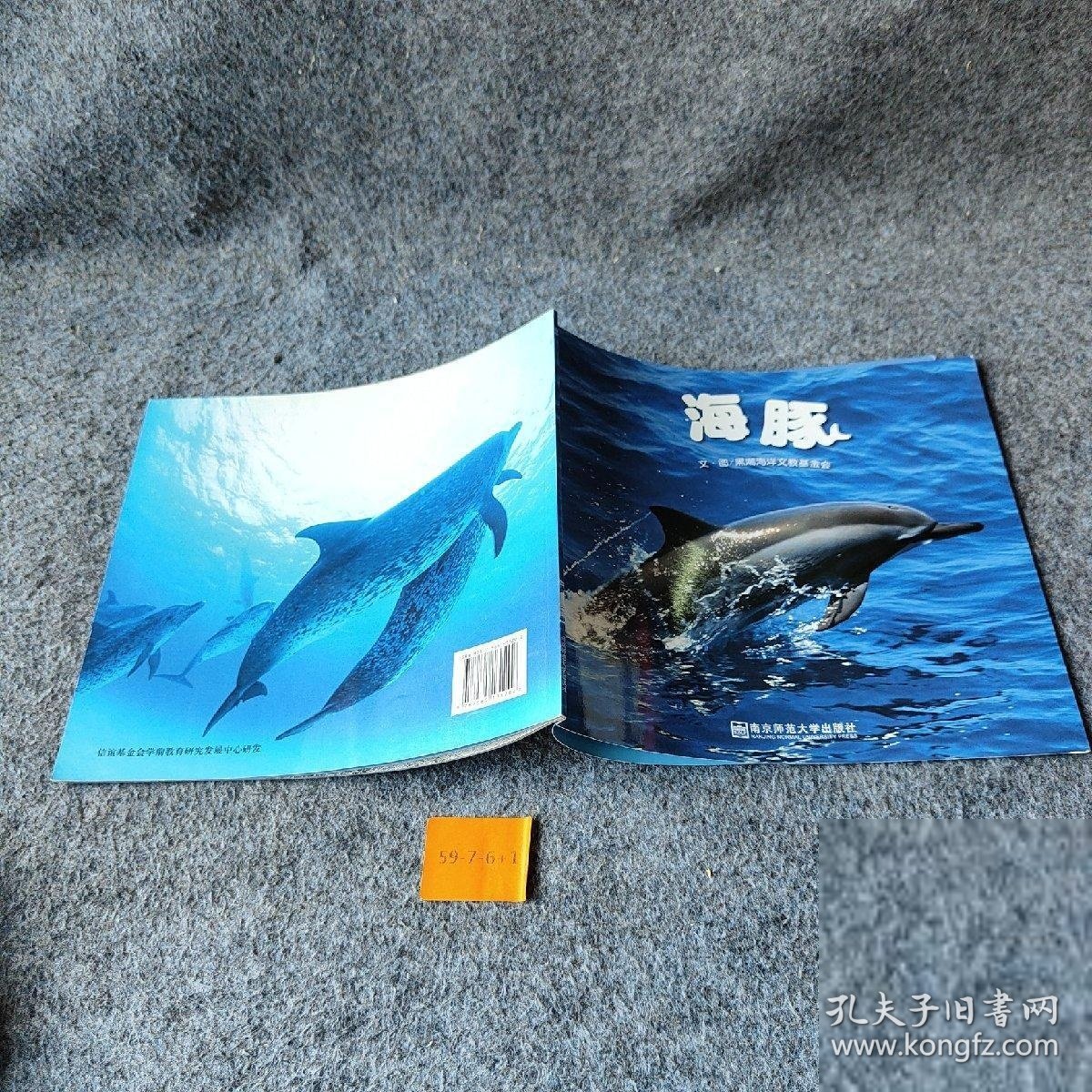幼儿园早期阅读幸福的种子小班下海豚