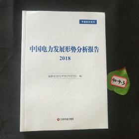 中国电力发展形势分析报告(2018)
