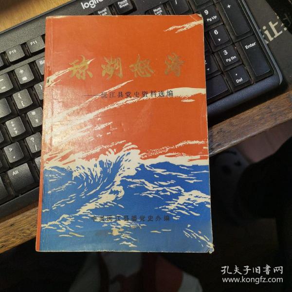 琼湖怒涛（沅江县党史资料选编）