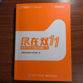 尽在双11 阿里巴巴技术演进与超越